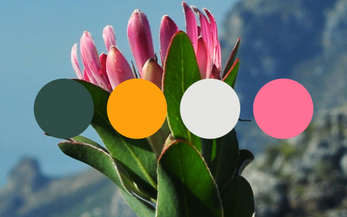 10 FREE Color Palettes Inspired by Summer Road Trips