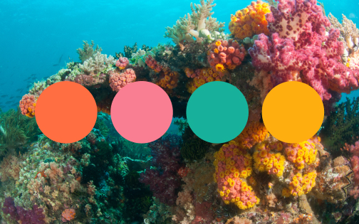 Free Color Palettes Inspired by Sea Coral Reef Pictures