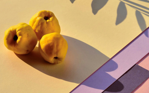 20 Free Fall Color Palettes: Capture the Season of Autumn