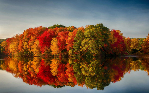 Fall Photos: Seasonal Stock Collections to Inspire You