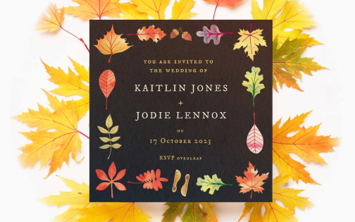 FREE Fall Leaves Clip Art Bundle