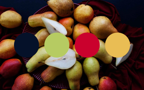 10 Food-Themed Color Palettes Inspired by Seasonal Produce