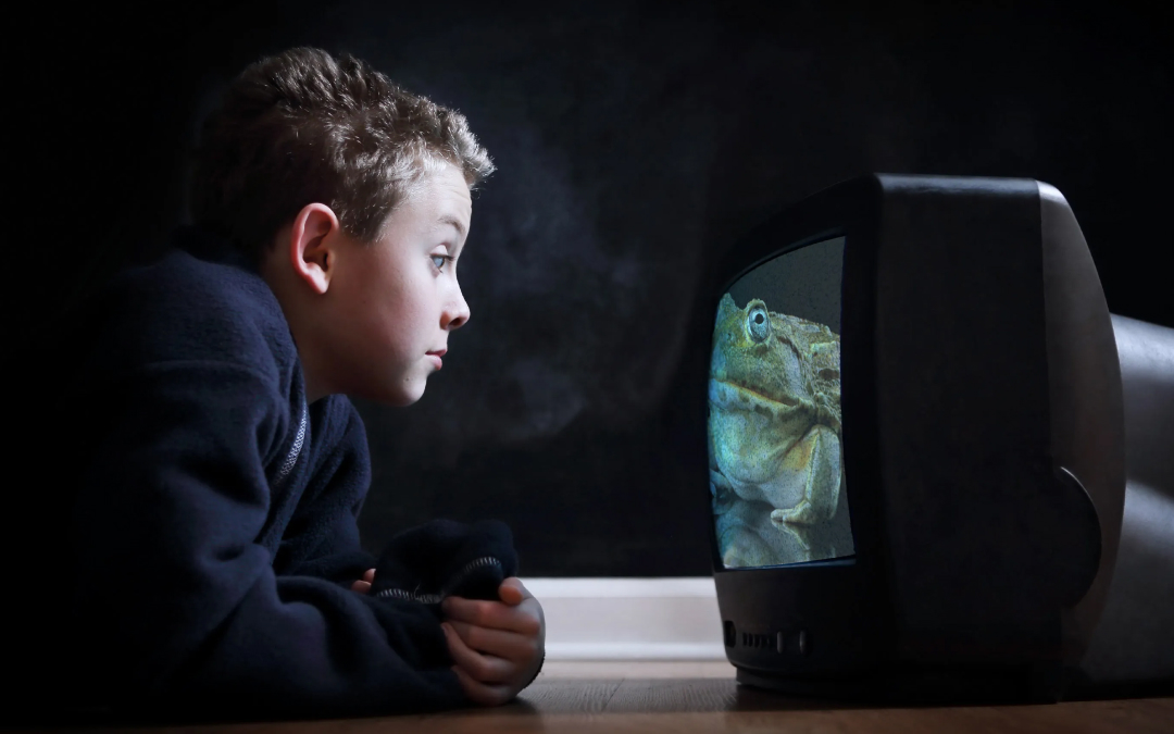 The 6 Best Video Ads of All Time: Examples and Inspiration