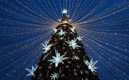 Holiday Design Trends and Stock Image Guide